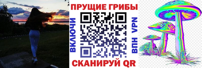 Псилоцибиновые грибы прущие грибы  купить  сайты  Курск 